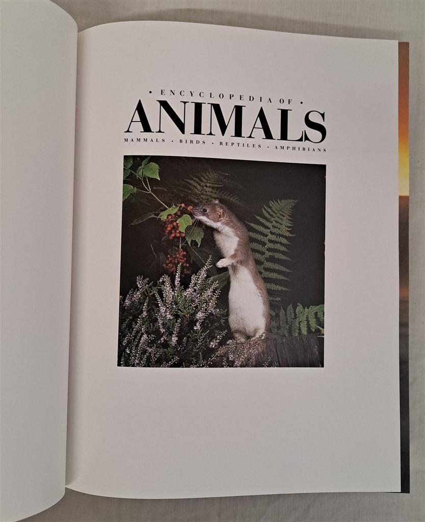 Mammals - Mammals - Animal Encyclopedia